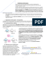 Metabolismo Del Glucógeno
