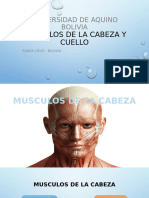 Musculos de La Cabeza y Cuello