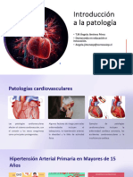 Patologias Cardiovasculares