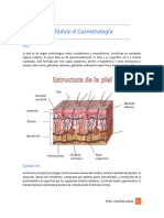 Modulo 4 Cosmetología 