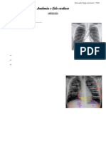 Anatomia e Ciclo Cardíaco