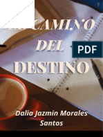 El Camino Del Destino