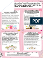 Infografía de Proceso Notas de Papel Aesthetic Rosa Blanco - 20231222 - 205254 - 0000