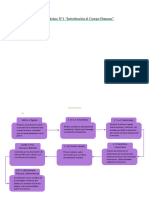 Trabajo Practico 1 - Anatomia