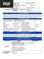 16 PC Coordinador Seguridad y Salud en El Trabajo Org