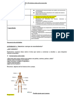 Secuencia Cs Naturales 1