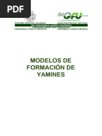 Modelos de Formación