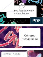 Géneros Pseudomona y Acinetobacter