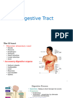 Digestive Tract