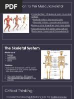 1.1 Skeletal System Presentation