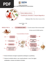 Aula Mollusca 05 - 02