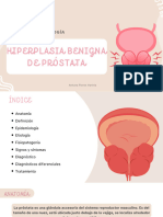 Hiperplasia Benigna de Próstata