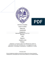 Ensayo de Los P (Lantamientos Cualitativos y Cauntitativos y Mixto