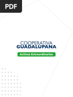 Activos Extraordinarios Guadalupana