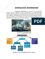 Contaminación Ambiental