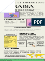 Historia de La Enfermedad de La Rabia