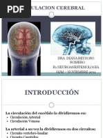 Circulacion Cerebral