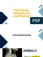 Puntos de Referencias Anatómicas