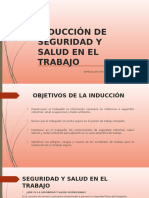 Inducción Gral. SST