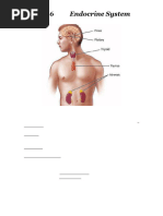 UNIT 6. The Endocrine System