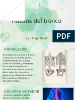 Biología 4h-Angelinho