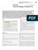 Caveiolinopathies From The Biology of Caveolin-3 To Human Diseases