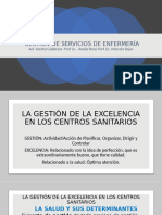 La Gestión de La Excelencia en Centros Sanitarios