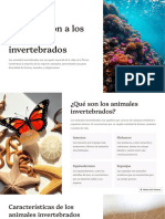 Introduccion A Los Animales Invertebrados