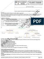Plant Tissue