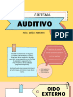 Sistema Auditivo