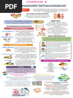 Infografía Necesidades Nutricionales