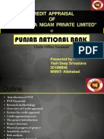 PNB Meja Urja Internship Final