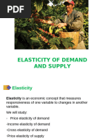 04 Elasticity