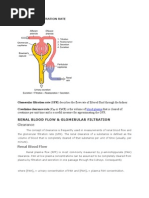 Glomerular Filtration Rate