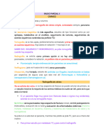 Resumen Básico Radiología