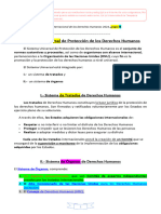 El Sistema Universal de Protección de Los Derechos Humanos