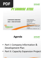 PT SUNRISE STEEL Briefing To BKPM Dec 2015