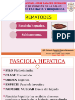 Trematode 2024.