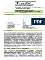 Sílabo-Plani-Comp y Evalua. para El Apren Inicial-24-II