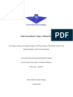 Informe Tej. Especializado. Sangre. Histologia