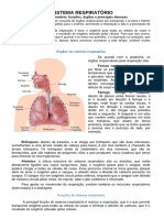 Sistema Respiratóriio