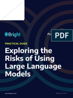 Exploring The Security Risks of Using Large Language Models