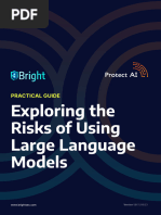 Exploring The Security Risks of Using Large Language Models