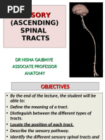 Lecture 3 - Ascending Spinal Tracts