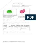 Evaluación Diagnostica 3 Semestre