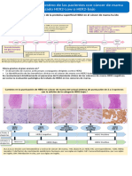 Infografia HER2LOW CORTA