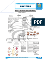 10 - ANATOMÍA - Tema 1 y 2 - Editado