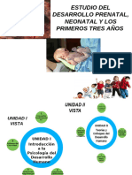 Desarrollo Prenatal