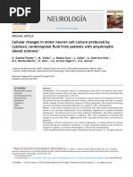 Cellular Changes in Motor Neuron Cell Culture Produced by