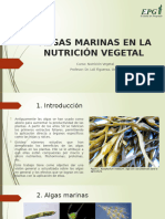 Algas Marinas en La Nutrición Vegetal